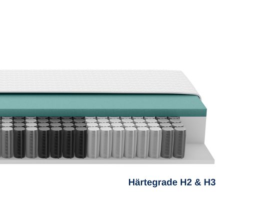 GELTEX® Quantum Touch Next 220 TFK | Schlaraffia